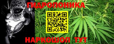 гашишное масло Малгобек