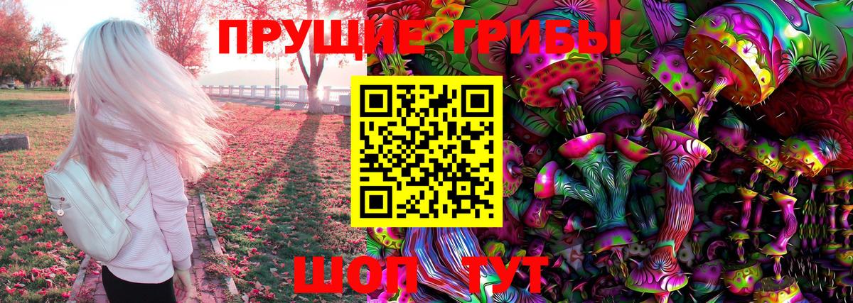 купить наркотики цена  Псилоцибиновые грибы GOLDEN TEACHER  Вход с VPN  Химки 